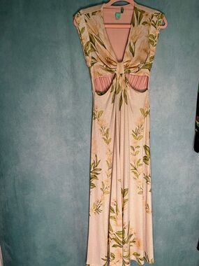 NWOT FARM RIO DRESS